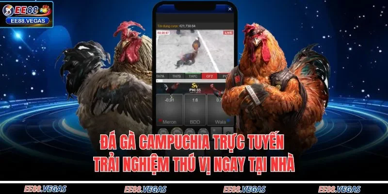 Đá gà Campuchia trực tuyến