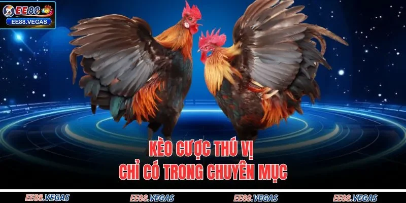 Kèo cược thú vị chỉ có trong chuyên mục